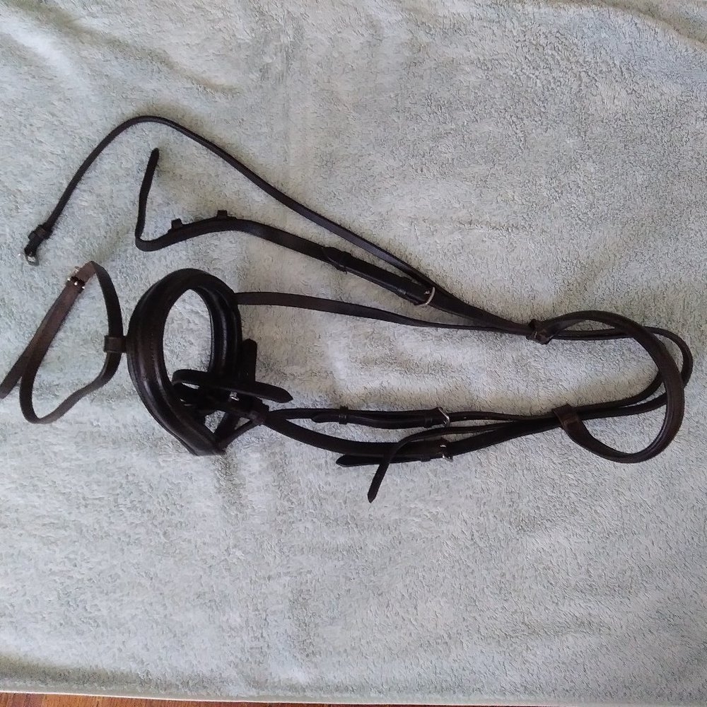 Dressage bridle for Warmblood/Extra Full Size with flash nose band